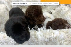 neals-newfoundlands-home